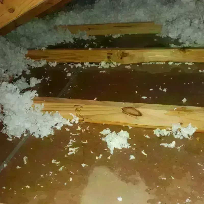 Attic Water Damage in Kings Mountain, NC